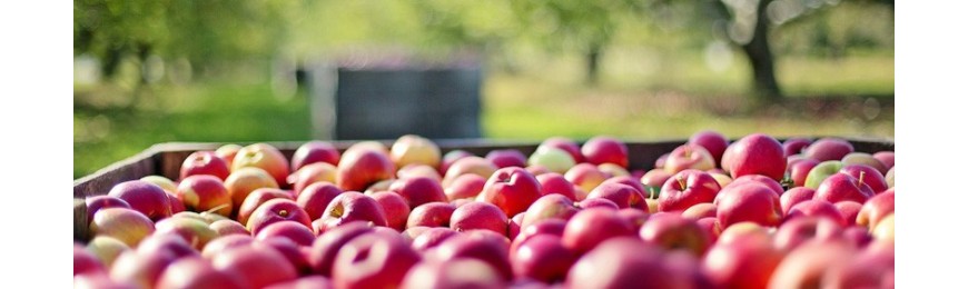 Jus de fruits artisanaux le Pressoir du Gard